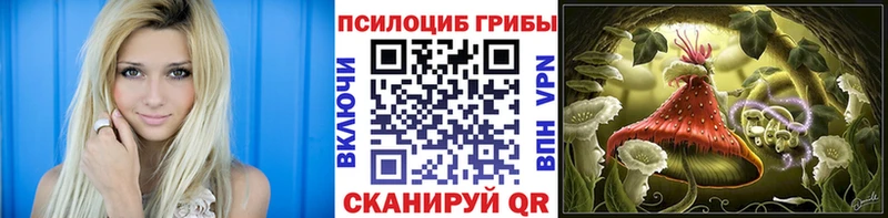 Купить  Миньяр  Галлюциногенные грибы Magic Shrooms 